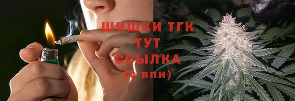 трава Аркадак
