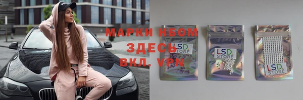 трава Аркадак