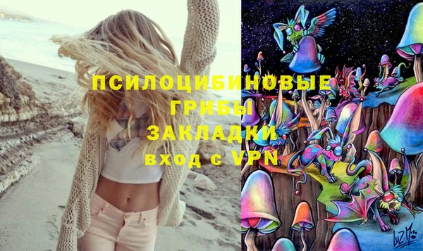 mix Арсеньев