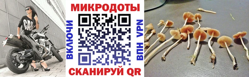 Галлюциногенные грибы Psilocybe  как найти наркотики  гидра маркетплейс  Чернушка 